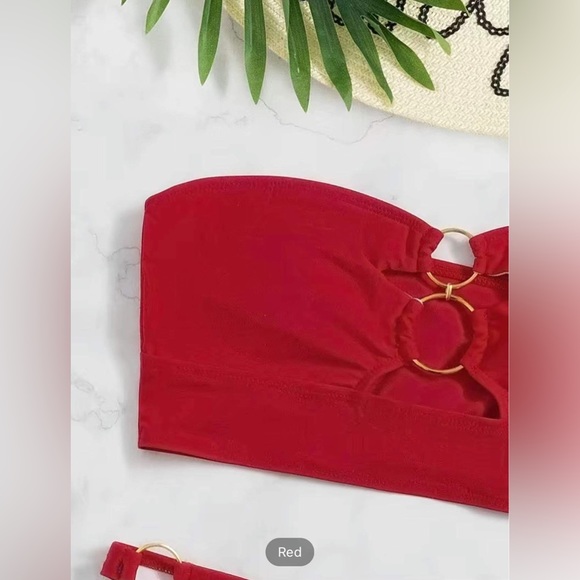 2-Piece Tube Top Bathing Suit - Picture 3 of 5